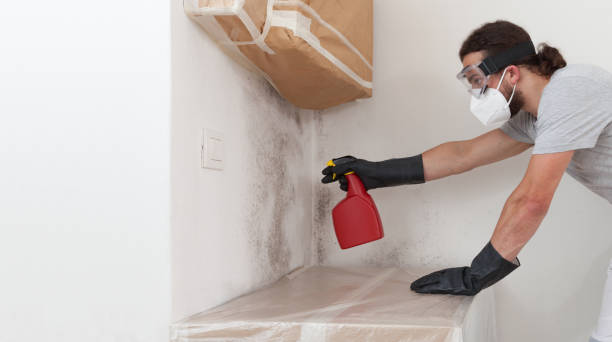Professional Basement Mold Remediation technician working in East Milton, FL