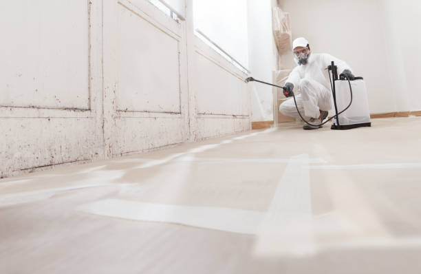 24/7 Emergency Basement Mold Remediation experts in East Milton, FL