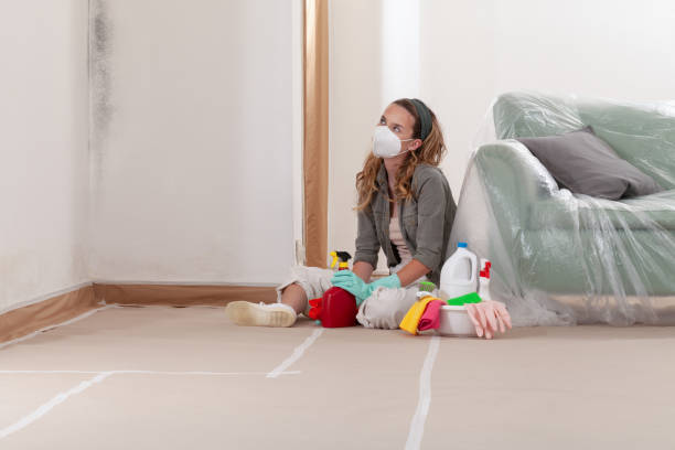 Reliable Basement Mold Remediation contractor in East Milton, FL by 24 Hour Mold Removal